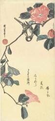 Bird and camellia (Hiroshige) - Muzeo.com