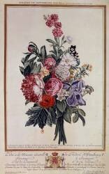 Bouquet of flowers melange (Pierre-Joseph Buchoz) - Muzeo.com