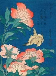 Canary and peonies (Hokusai) - Muzeo.com