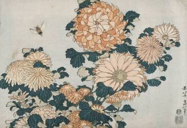 Chrysanthemums (Hokusai) - Muzeo.com