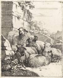 Différents animaux (Johann Melchior Roos) - Muzeo.com