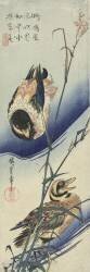 Ducks near reeds (Hiroshige) - Muzeo.com