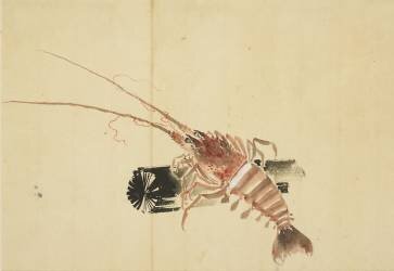 Ebi (Hokusai) - Muzeo.com