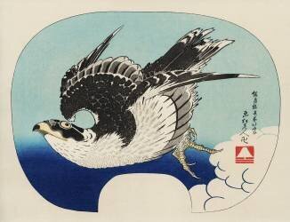 Hawk (Hokusai) - Muzeo.com