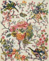 Indian model (Peter Lemeunnie) - Muzeo.com