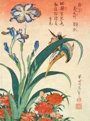 Iris and Pinks (Hokusai) - Muzeo.com