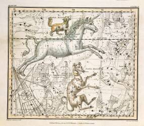 Monoceros (Alexander Jamieson) - Muzeo.com