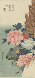 Peacock and peonies (Hiroshige) - Muzeo.com