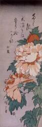 Peonies (Hiroshige) - Muzeo.com