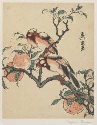 Pomegranates and birds (Keisai Eisen) - Muzeo.com
