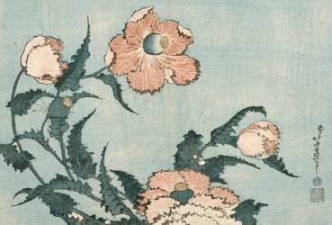 Poppies (Hokusai) - Muzeo.com