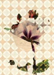 Purple gentian (George Cooke) - Muzeo.com