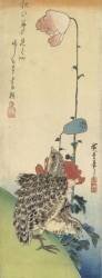 Quails and poppies (Hiroshige) - Muzeo.com