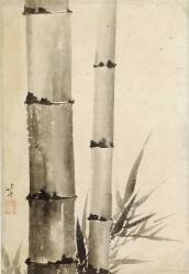 Two bamboo stems (Hokusai) - Muzeo.com