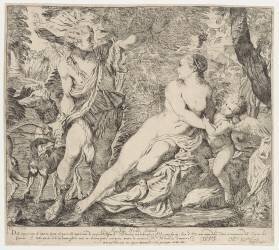 Vénus et Adonis (Luigi Pellegrini Scaramuccia) - Muzeo.com