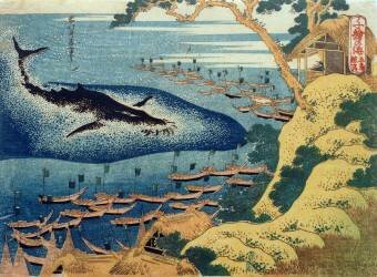 Walfischfang (Hokusai) - Muzeo.com