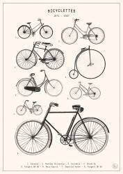 Bicyclettes (Florent Bodart) - Muzeo.com