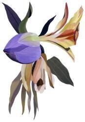 Imaginary flowers (Hiroyuki Izutsu) - Muzeo.com