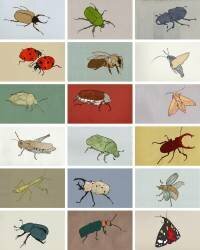 Insects (Eliza Southwood) - Muzeo.com