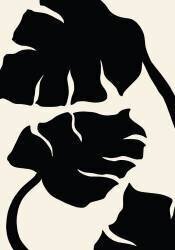 Monstera (1x Studio) - Muzeo.com