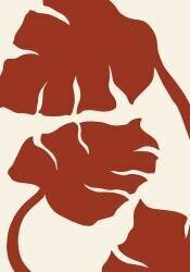 Monstera (1x Studio) - Muzeo.com