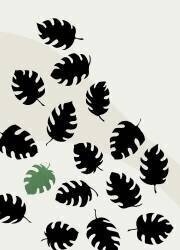 Monstera (1x Studio) - Muzeo.com