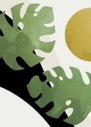 Monstera (1x Studio) - Muzeo.com