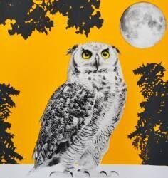 Moonbathing (Anne Storno) - Muzeo.com