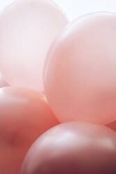Rosy Balloons (Anastasia Sawall) - Muzeo.com
