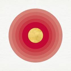 Sans titre (Muzeo Studio) - Muzeo.com