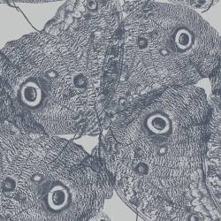 Sans titre (Muzeo Studio) - Muzeo.com