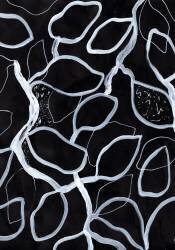 Tangled (1x Studio) - Muzeo.com