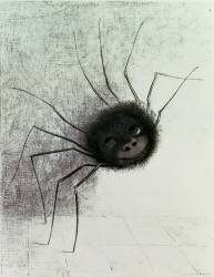 Araignée (Odilon Redon) - Muzeo.com