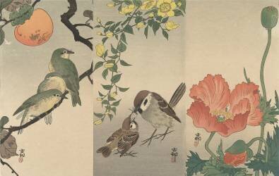 Birds and Plants (Ohara Koson) - Muzeo.com