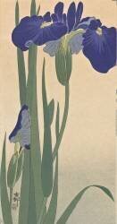 Blue irises (Ohara Koson) - Muzeo.com