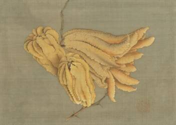 Buddha’s Hand Citron (Hokusai) - Muzeo.com