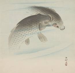 Carp (Ohara Koson) - Muzeo.com