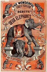 Cirque Fernando (anonymous) - Muzeo.com