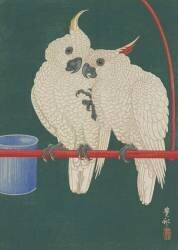 Cockatoos (Ohara Koson) - Muzeo.com