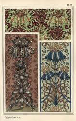 Crown imperial (Eugène Grasset) - Muzeo.com