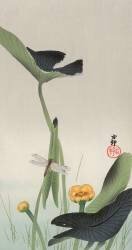 Dragonfly and Lotus (Ohara Koson) - Muzeo.com