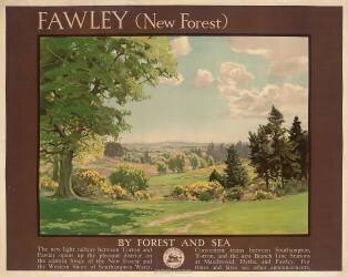 Fawley (Albert George Petherbridge) - Muzeo.com