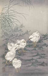 Five Chicks (Ohara Koson) - Muzeo.com