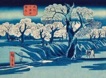 Flowering in Koganei (Hiroshige) - Muzeo.com