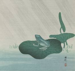 Frog in Rain (Ohara Koson) - Muzeo.com