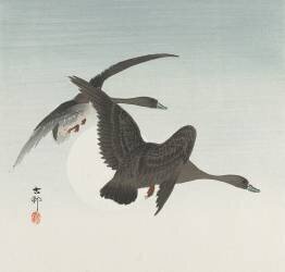 Geese in Flight (Ohara Koson) - Muzeo.com