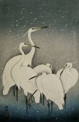 Group of Egrets (Ohara Koson) - Muzeo.com