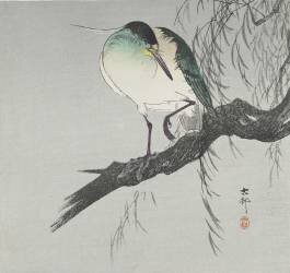 Heron on Branch (Ohara Koson) - Muzeo.com