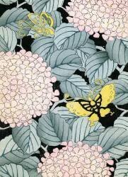Hydrangeas and Butterflies (anonymous) - Muzeo.com