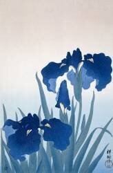 Irises (Ohara Koson) - Muzeo.com